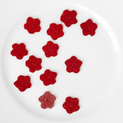 Felt_Flower_Applique