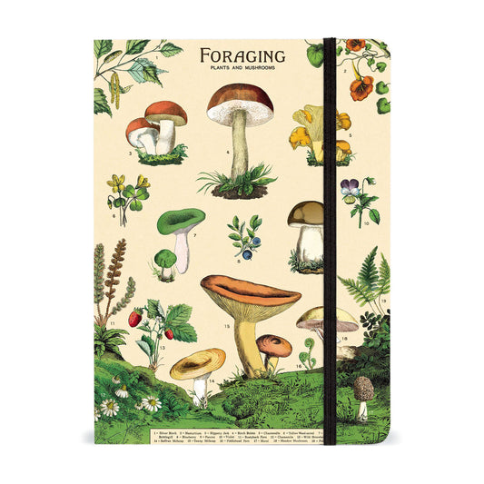 Foraging_Mushroom_Notebook