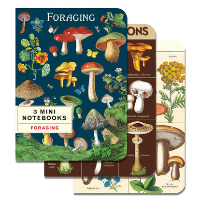Foraging_Notebook_Set