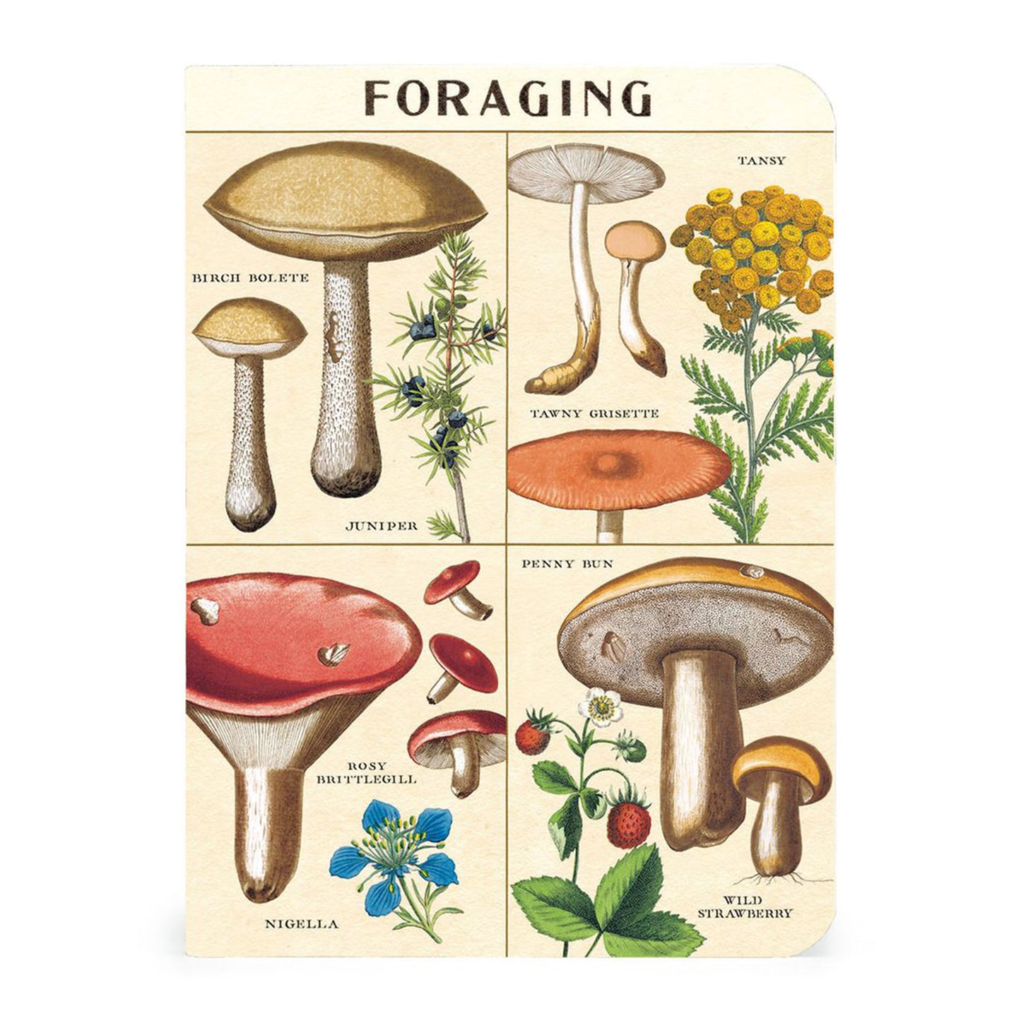 Foraging_Notebook_Set