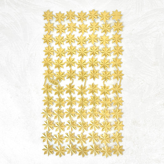 Gold_Dresden_Stars