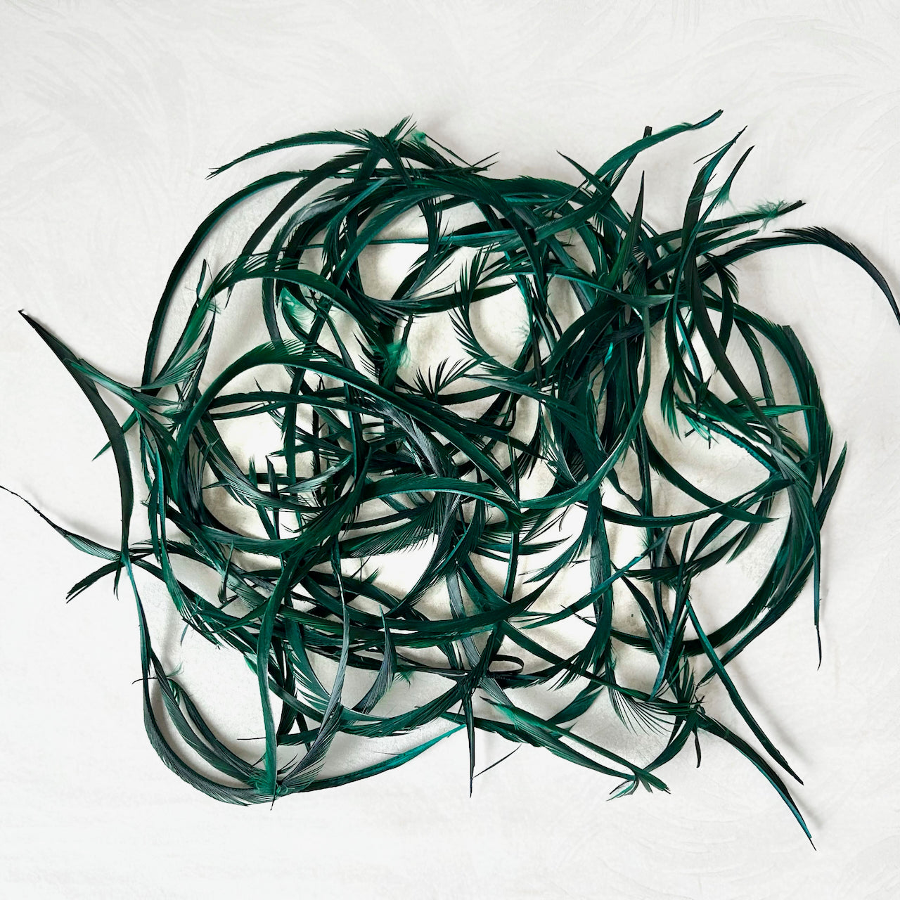 Goose_Feather_Biots