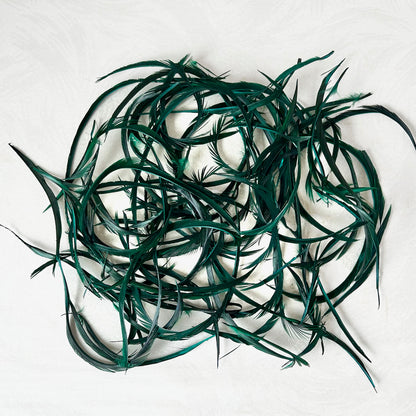 Goose_Feather_Biots