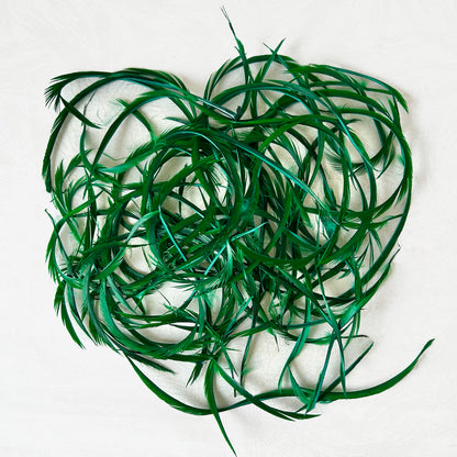 Goose_Feather_Biots