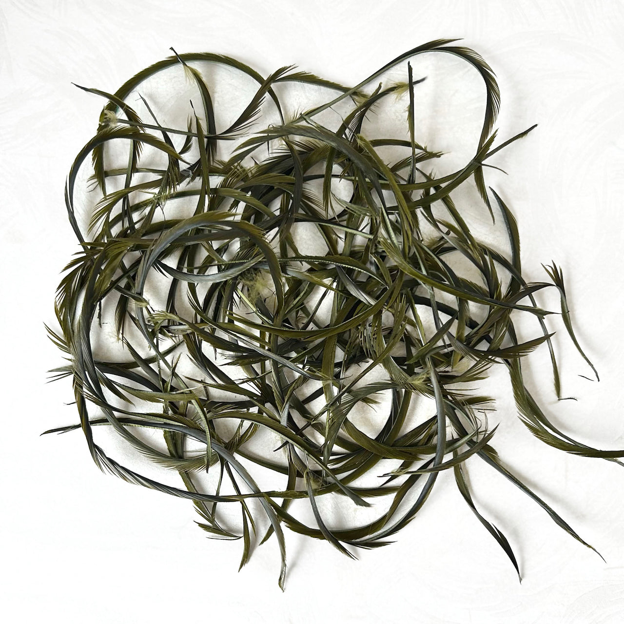 Goose_Feather_Biots