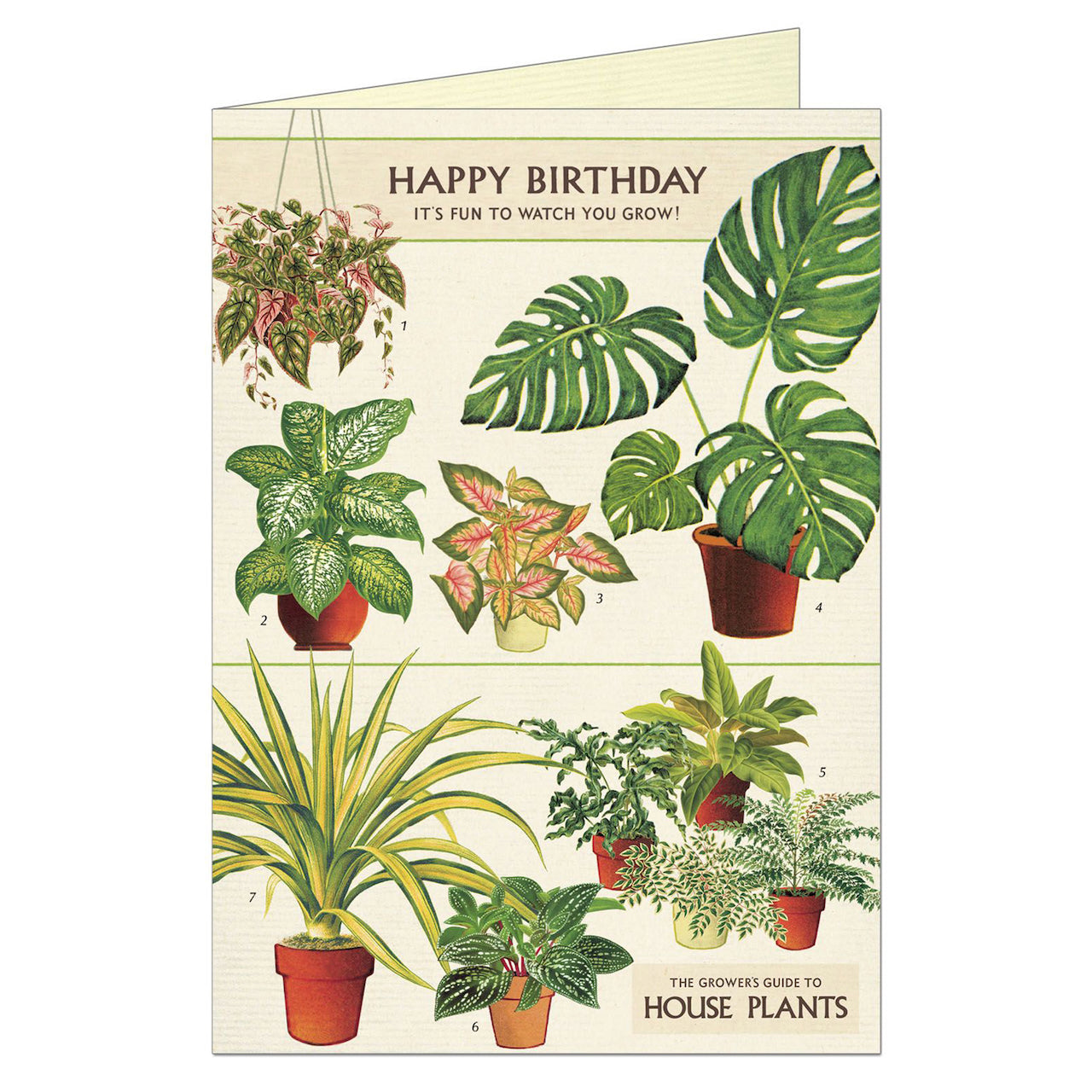 Happy_Birthday_House_Plants_Card