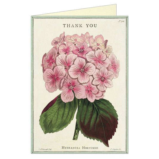 Hydrangea_Thank_You_Card