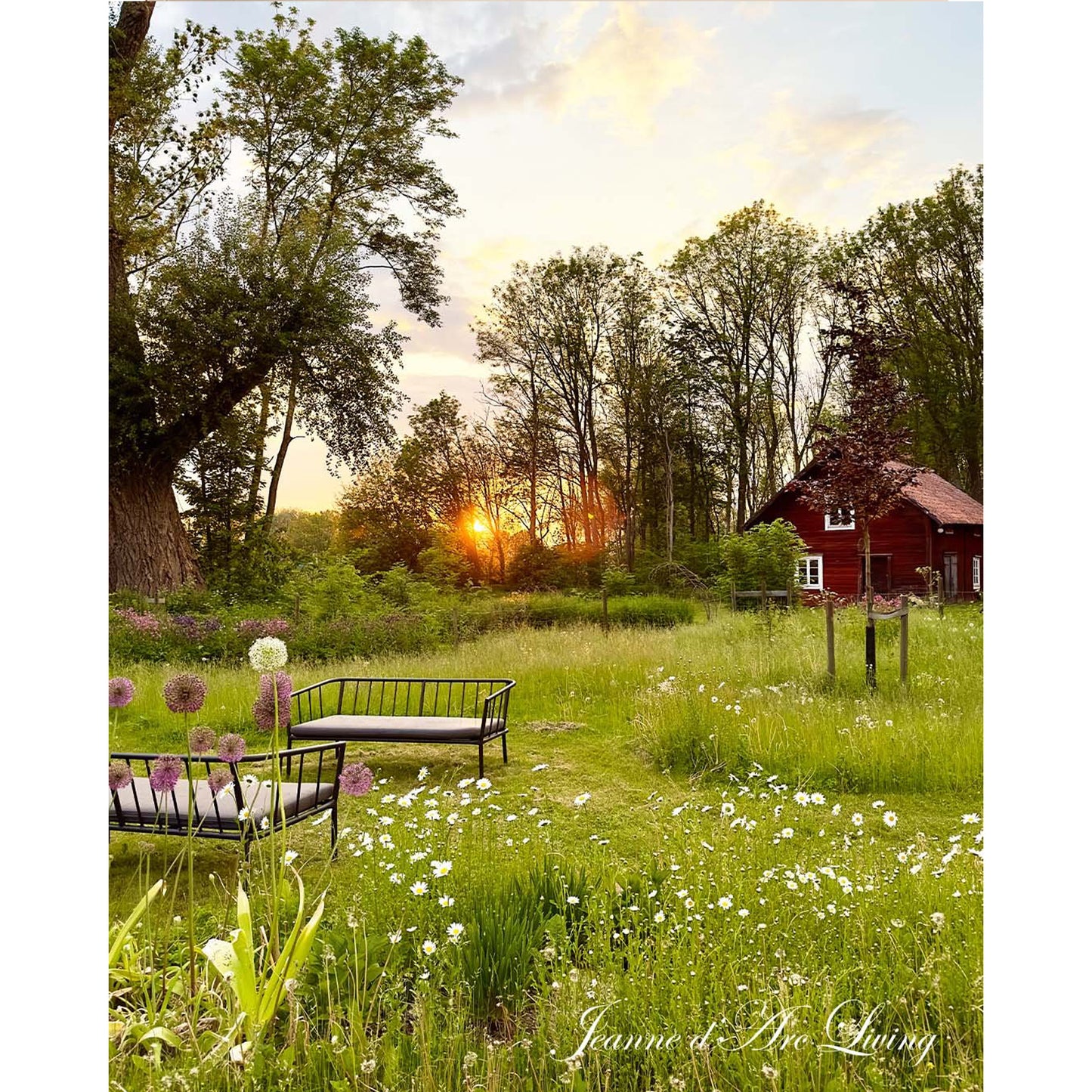 Jeanne d'Arc Living -  Issue #5, 2025