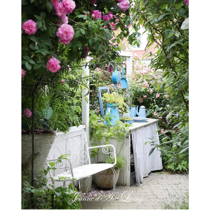 Jeanne d'Arc Living -  Issue #5, 2026