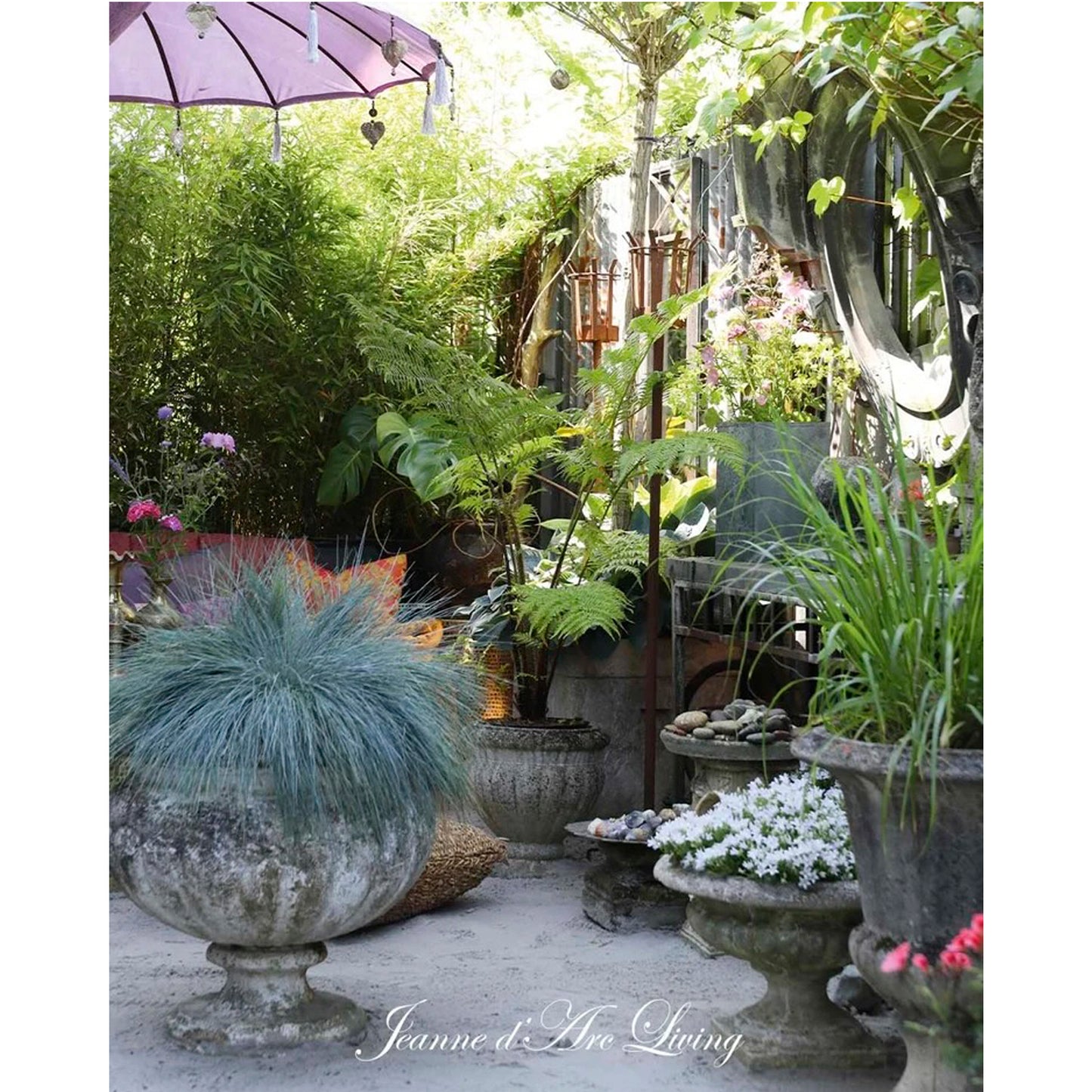 Jeanne d'Arc Living -  Issue #5, 2026