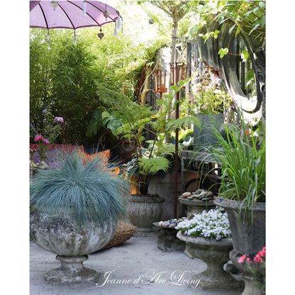 Jeanne d'Arc Living -  Issue #5, 2026