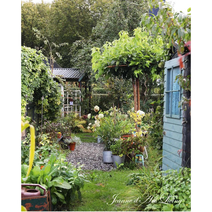 Jeanne d'Arc Living -  Issue #6, 2025