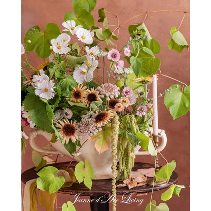 Jeanne d'Arc Living -  Issue #6, 2026