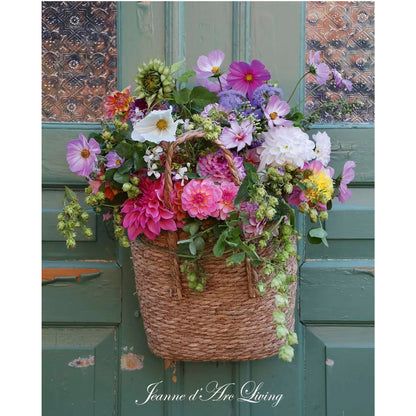 Jeanne d'Arc Living -  Issue #6, 2026