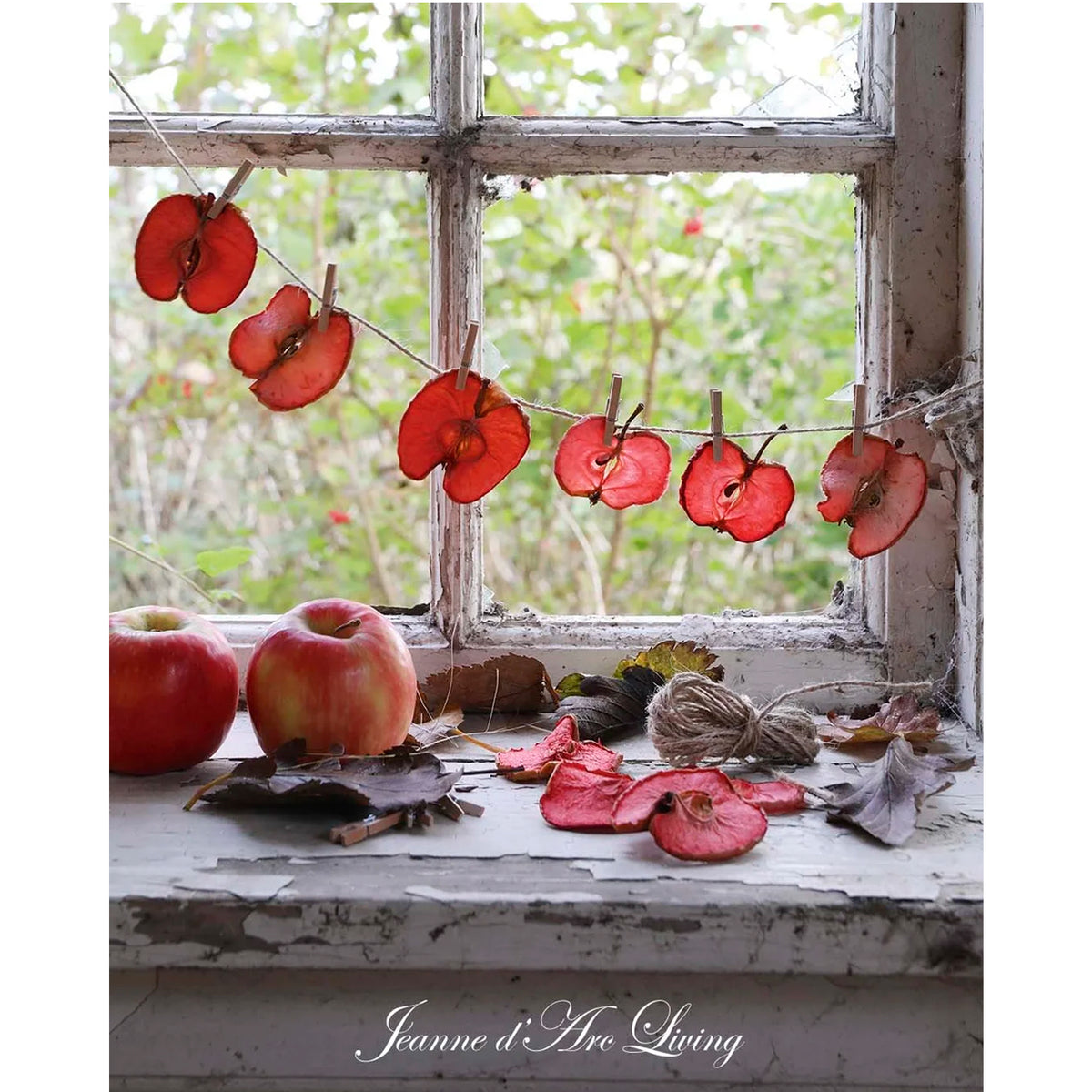 Jeanne d'Arc Living -  Issue #7, 2026