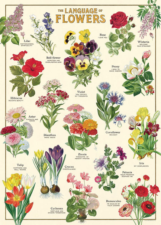 Language_of_Flowers_Wrap_Poster