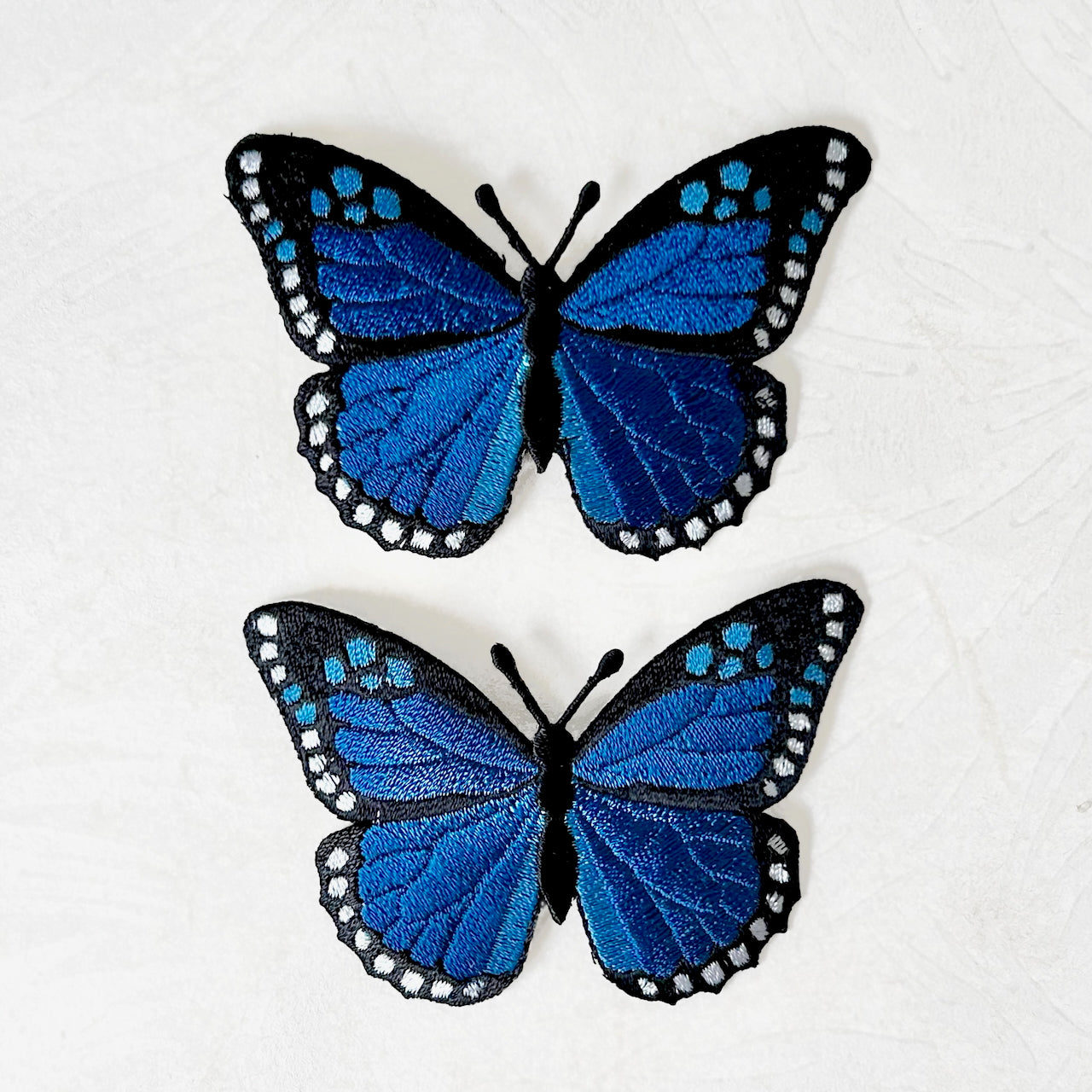 Large_Monarch_Butterfly