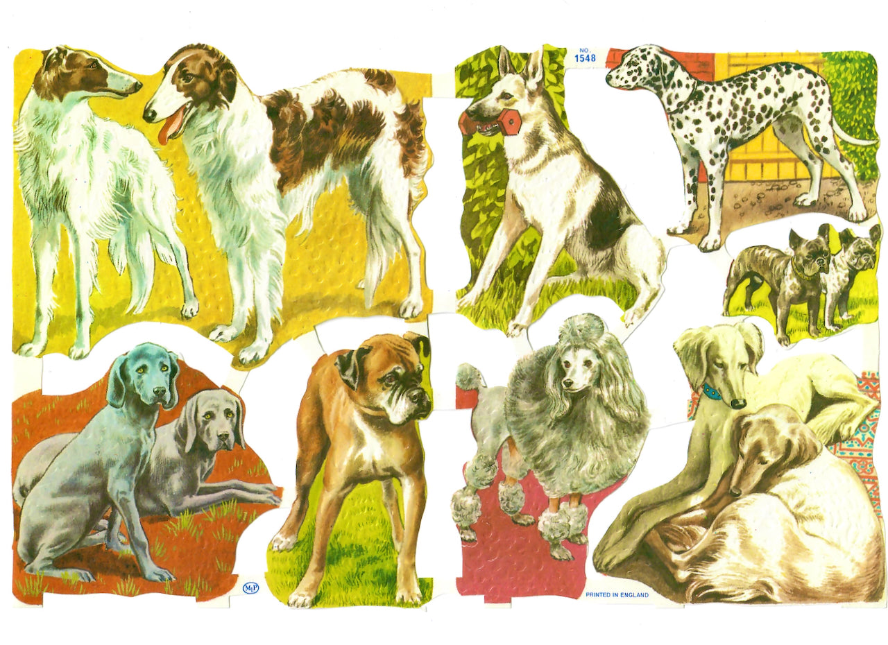 Scrapbook Pictures, Dogs