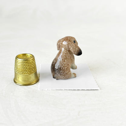 Miniature_Porcelain_Lop_Ear_Bunny