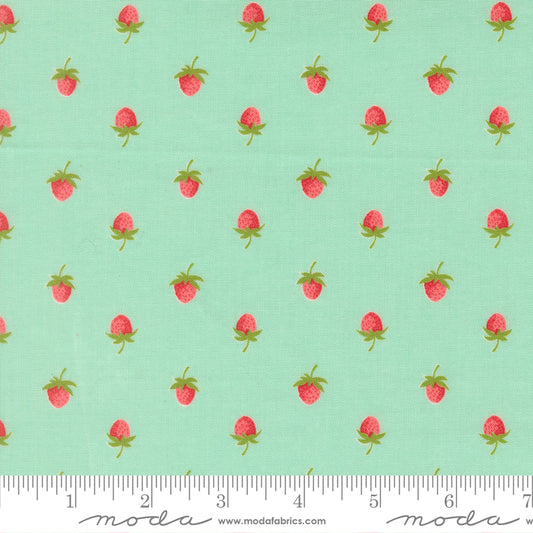 Moda_Novelty_Strawberries_Fabric_Aqua
