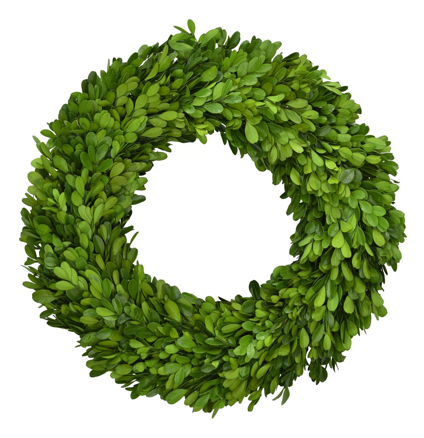 Boxwood Country Estate 14" Wreath