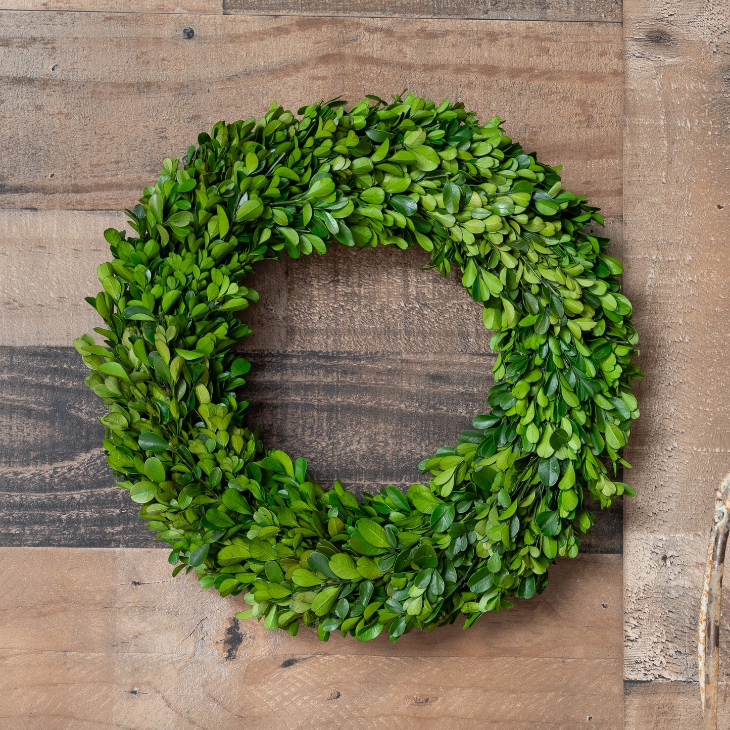 Boxwood Country Estate 14" Wreath
