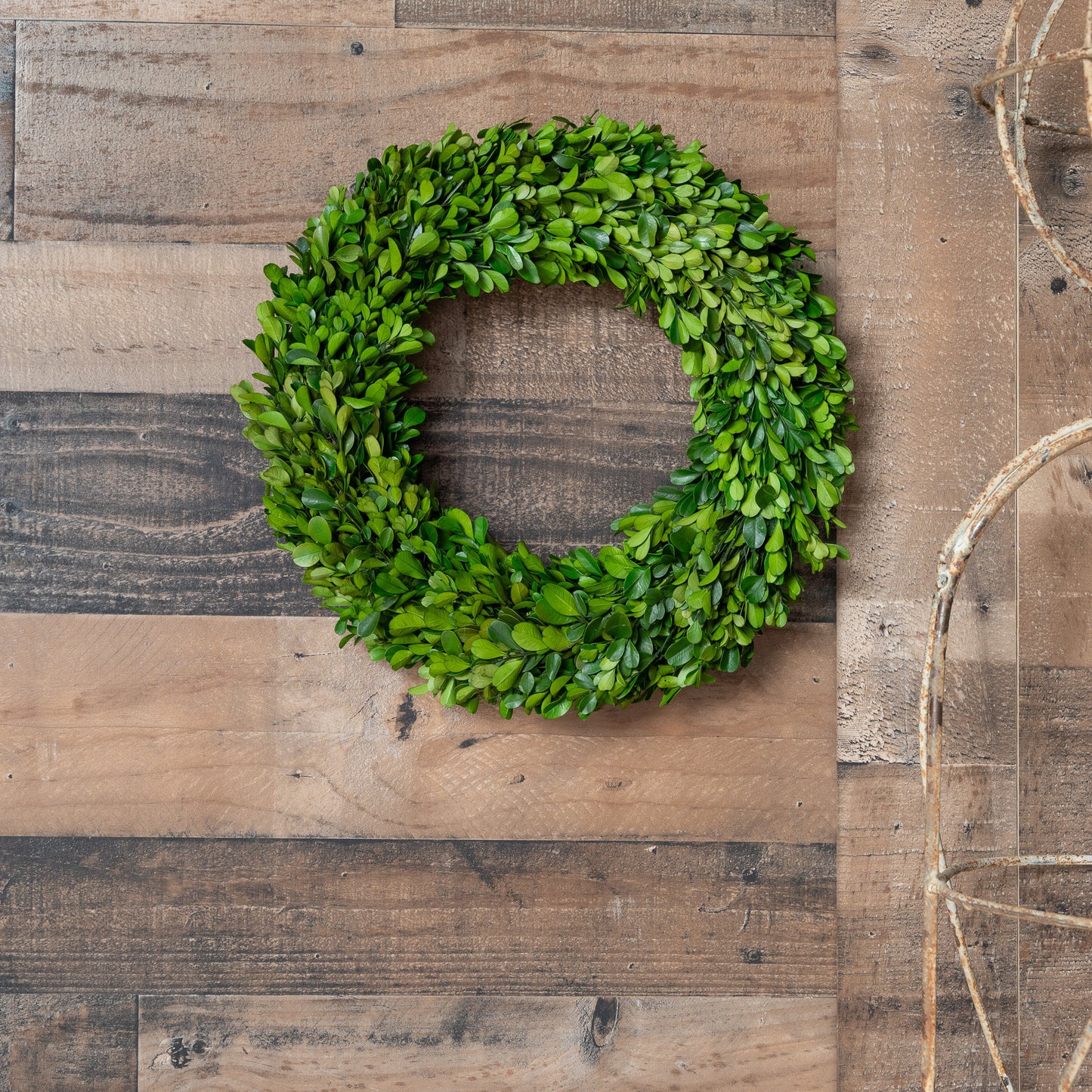Boxwood Country Estate 14" Wreath