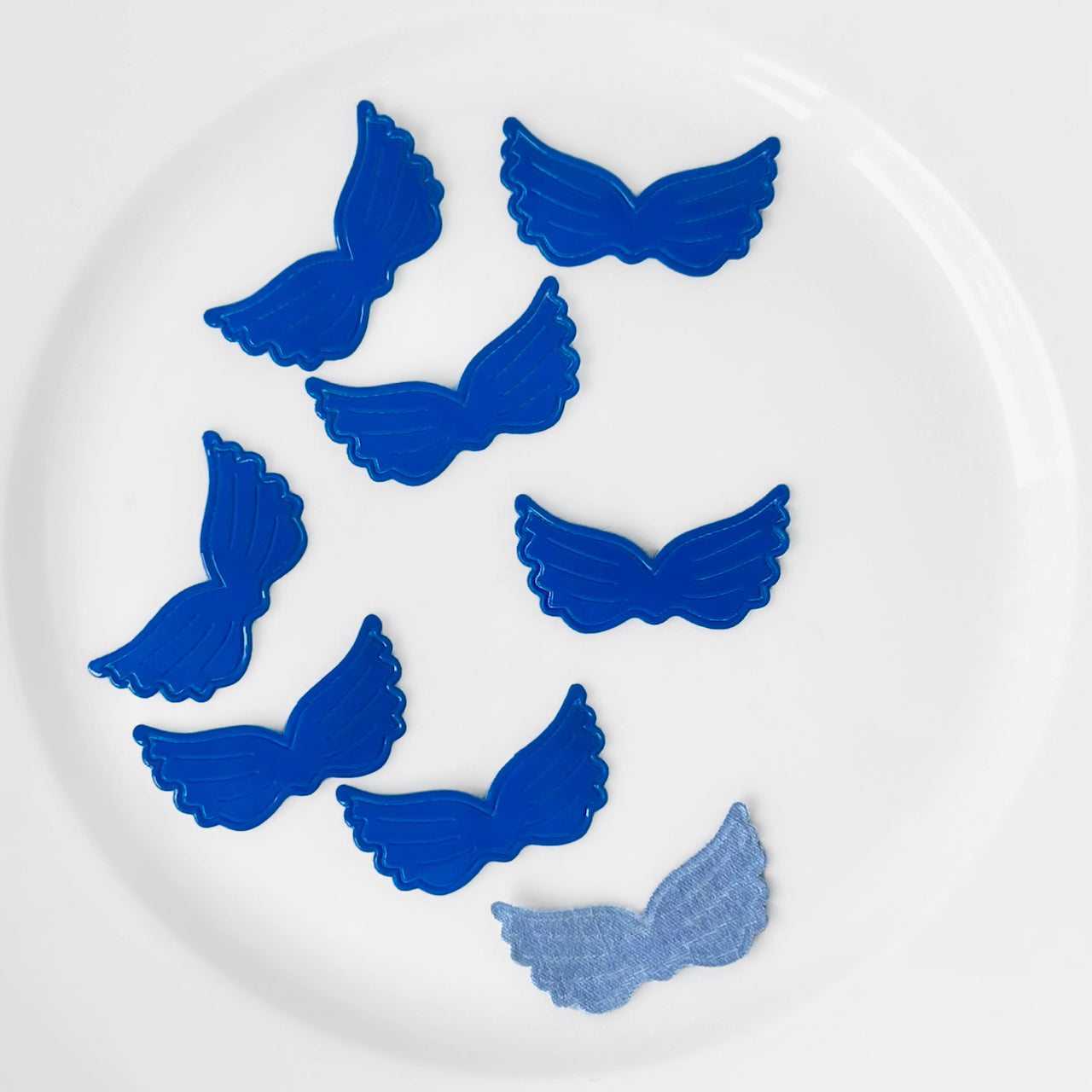 Shiny_Wing_Applique