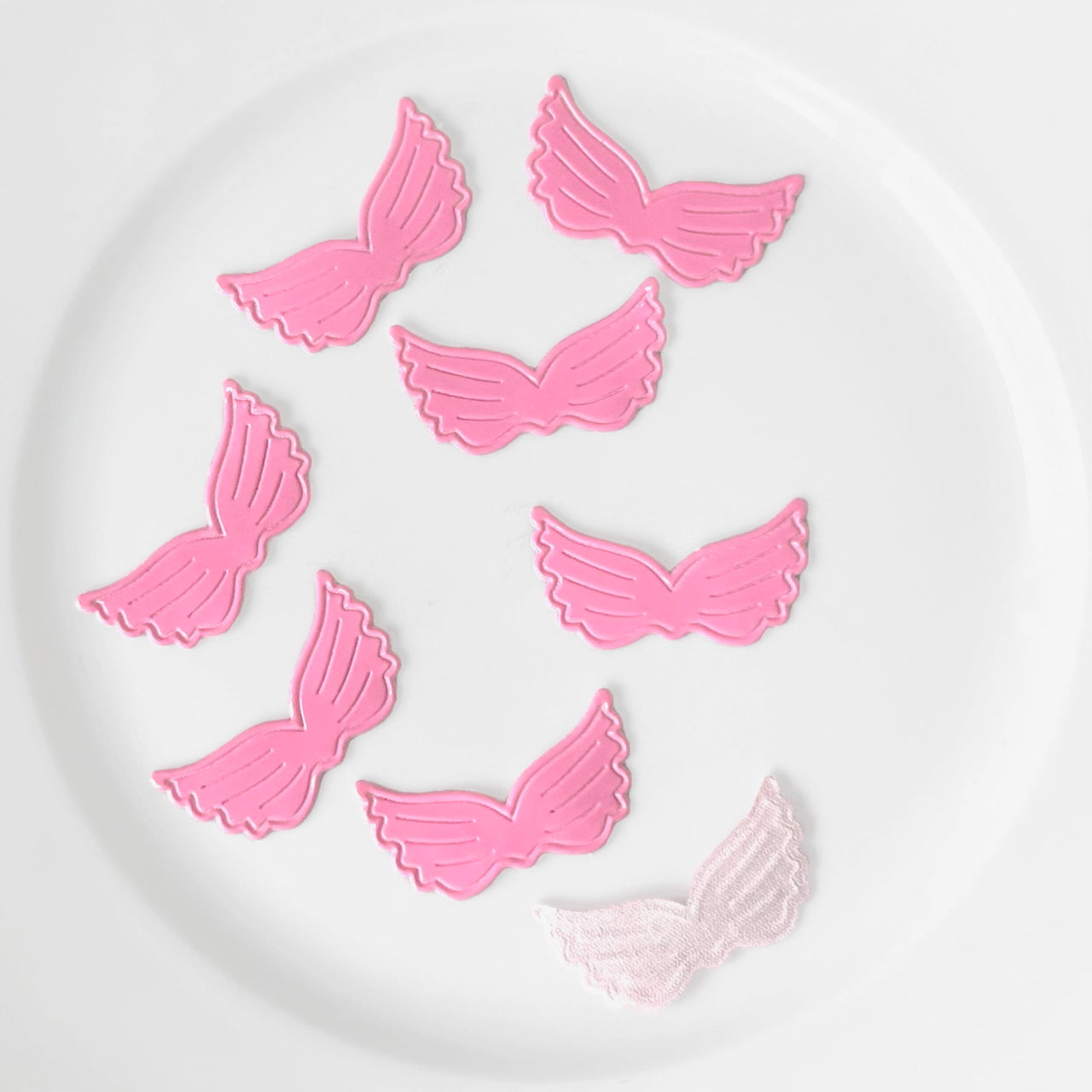 Shiny_Wing_Applique