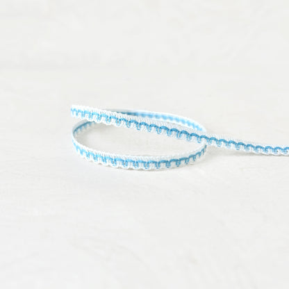 Skinny_Flat_Braid