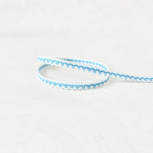 Skinny_Flat_Braid