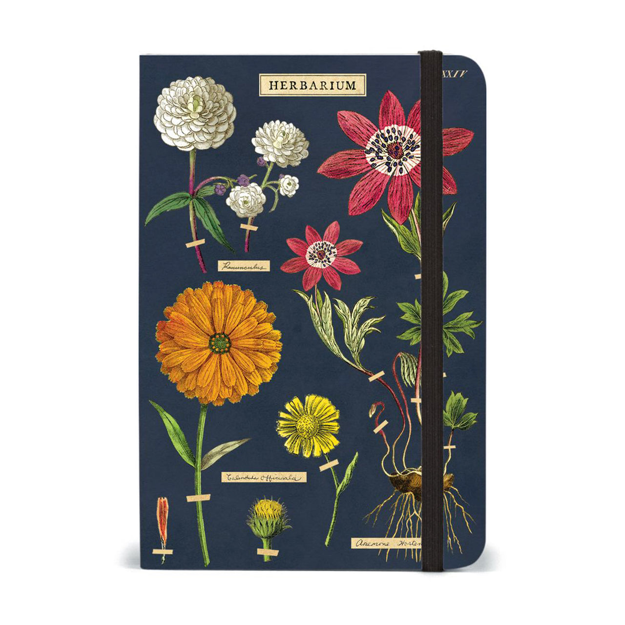 Small_Herbarium_Notebook
