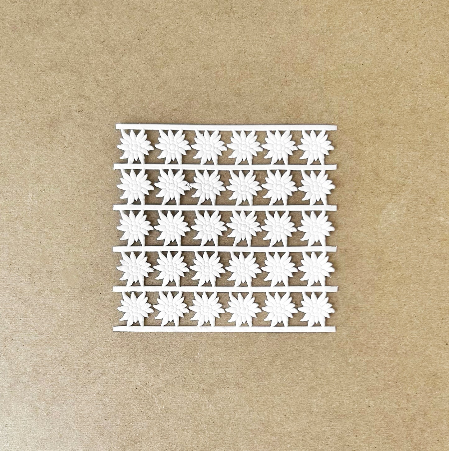White_Edelweiss_Dresden_Trim