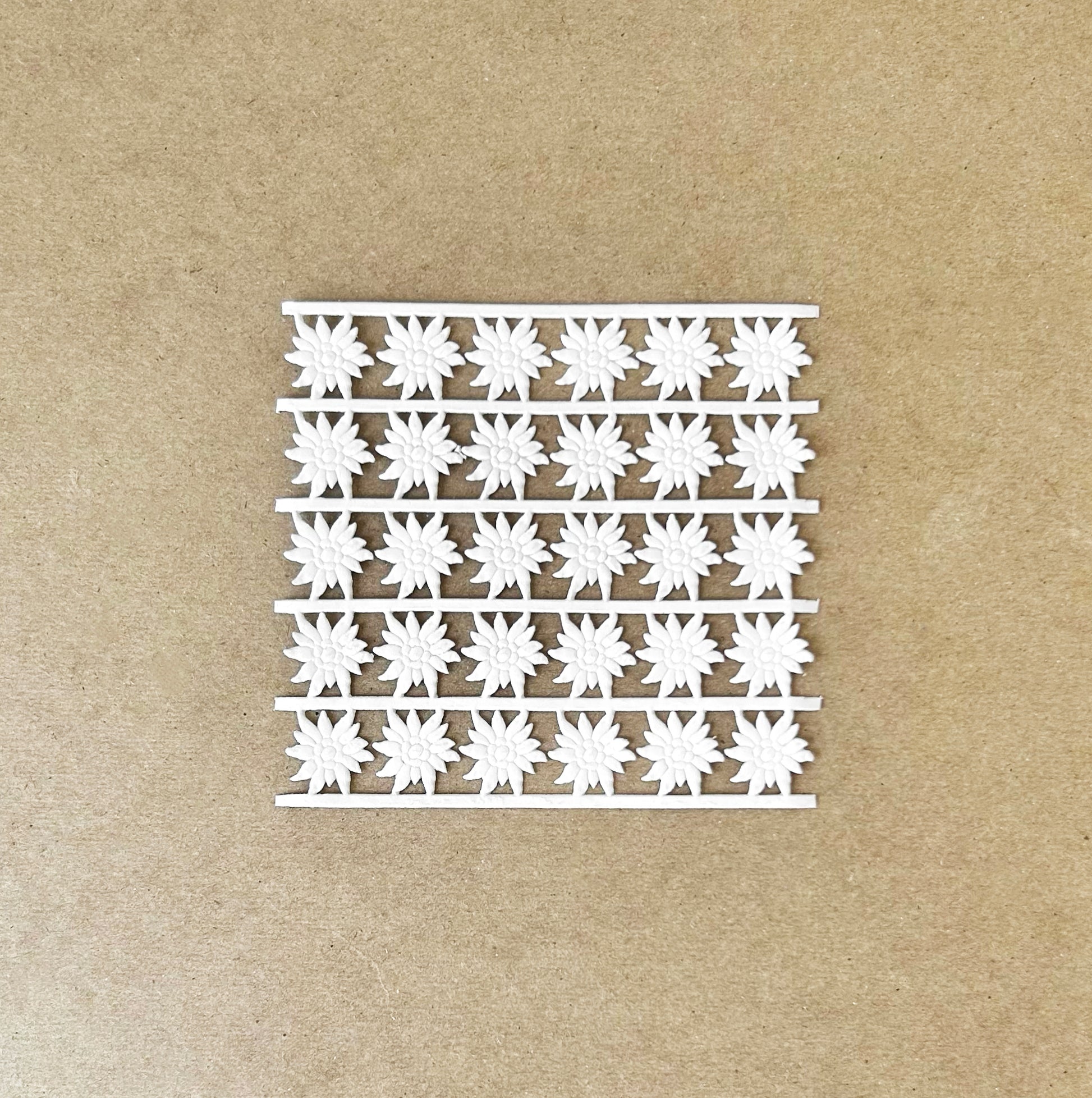 White_Edelweiss_Dresden_Trim