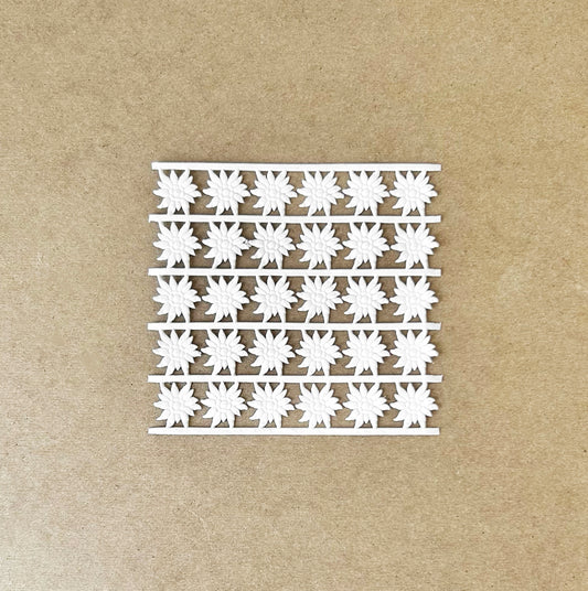 White_Edelweiss_Dresden_Trim