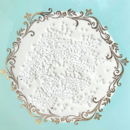 White_Glass_Seed_Beads_White