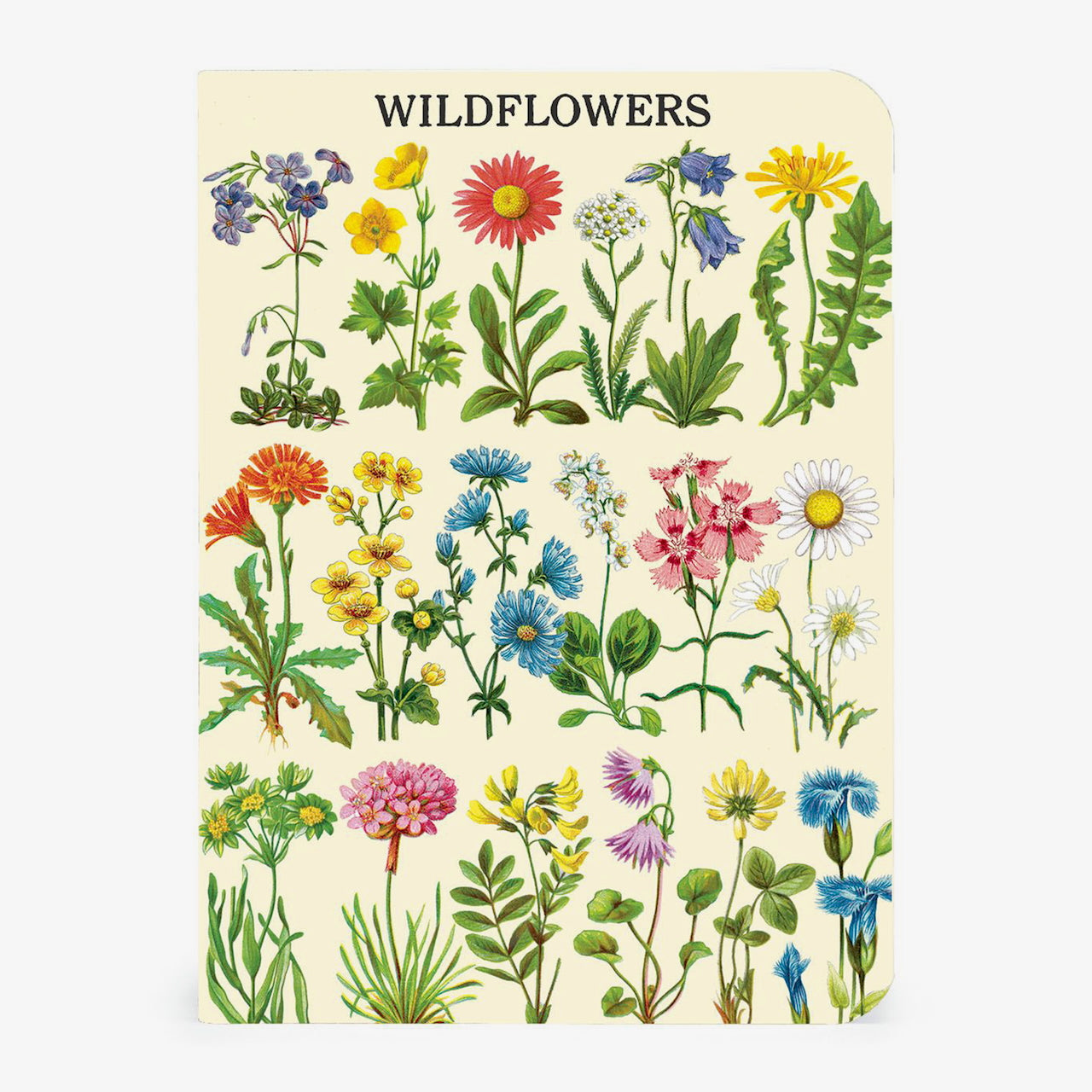 Wildflowers_Mini_Notebook_Set