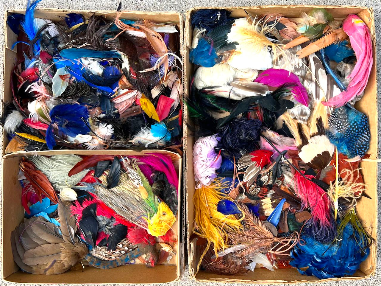 Large Box of Millinery Feathers