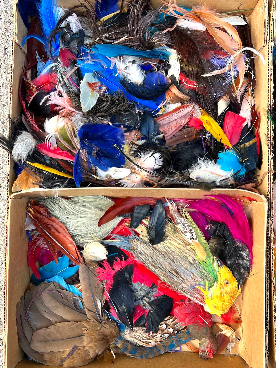Large Box of Millinery Feathers