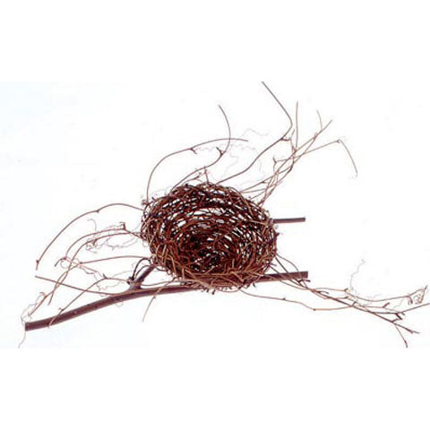 Brids Nest on Twig
