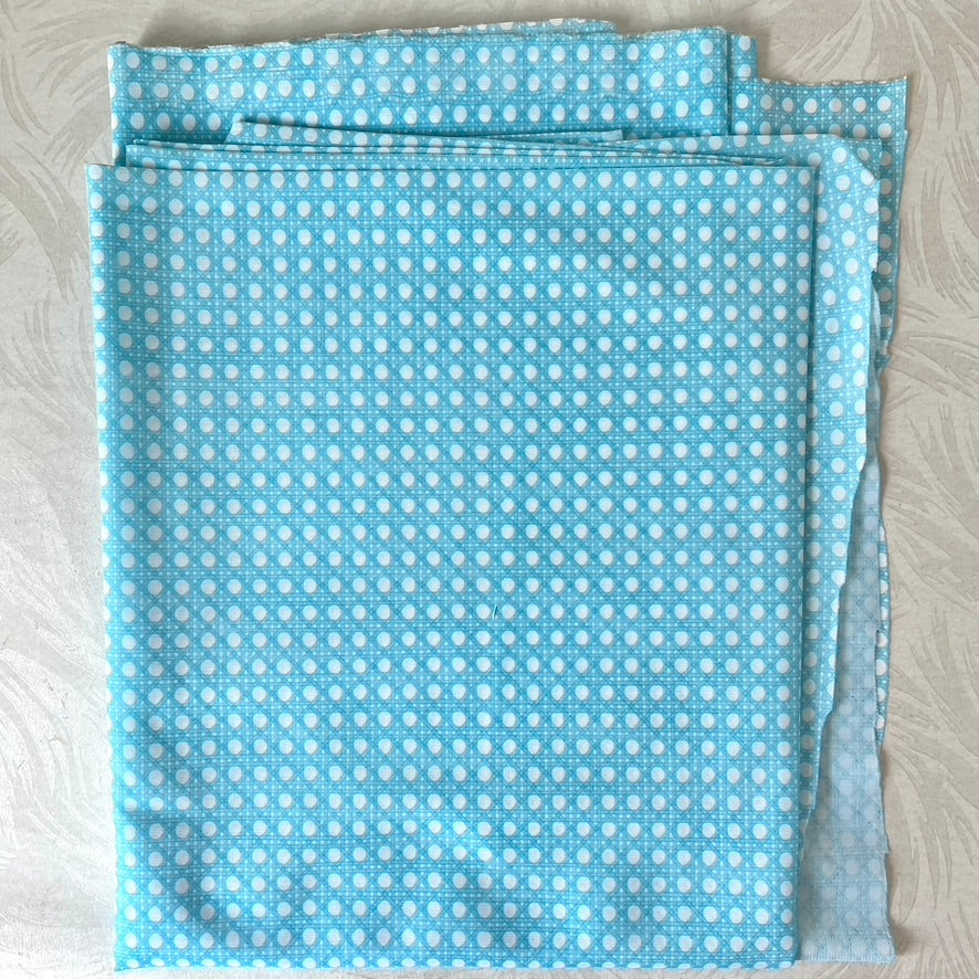 Light blue Cane Print Jersey Knit Fabric