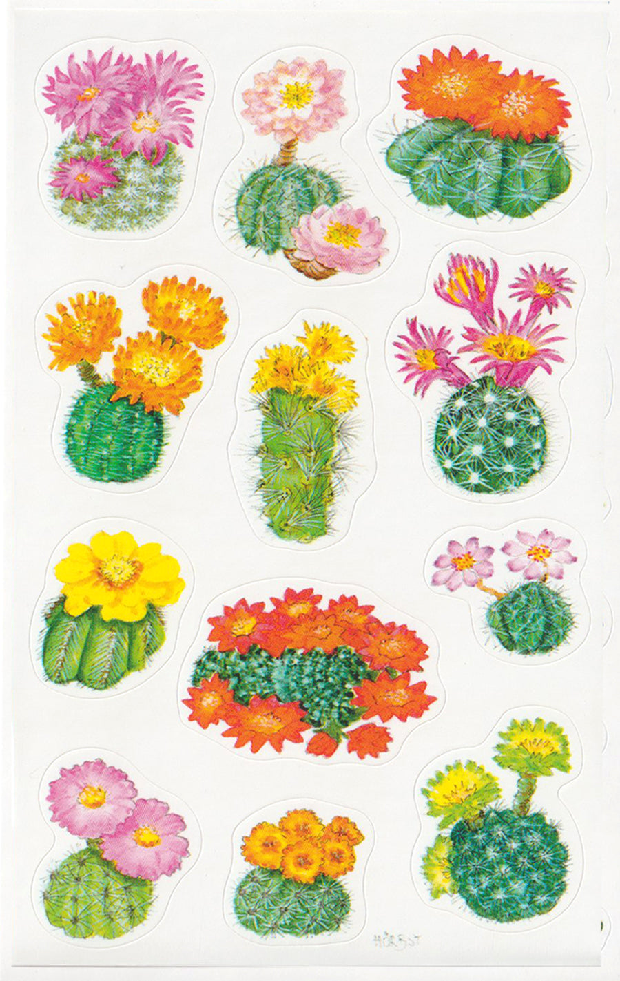 Cactus Flowers - Stickers