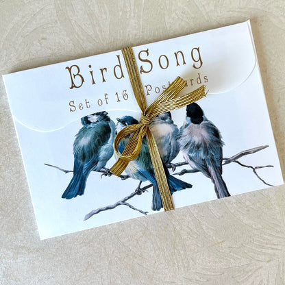 Bird Song - Set of Post Cards