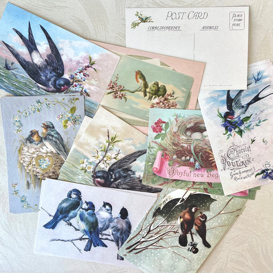 Bird Song - Set of Post Cards