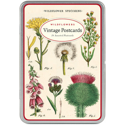 Wildflowers Vintage Postcards Set