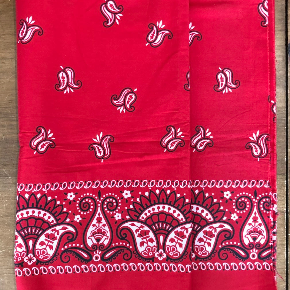 Red Paisley Bandana Print Fabric