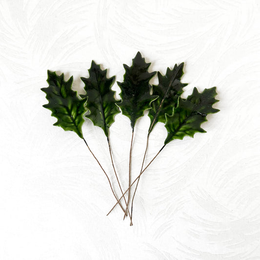 Dark_Green_Holly_Leaves