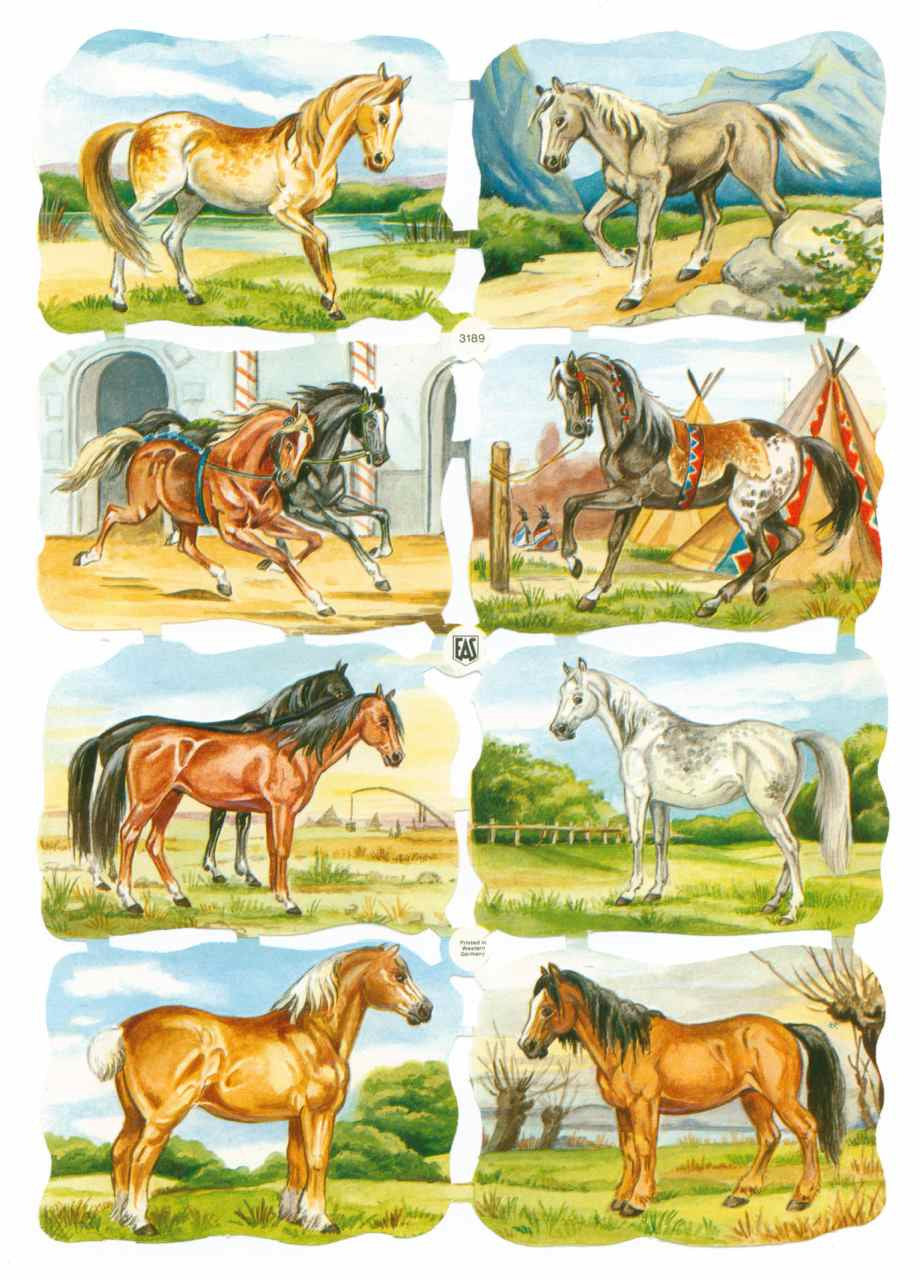 Scrapbook Pictures, horses