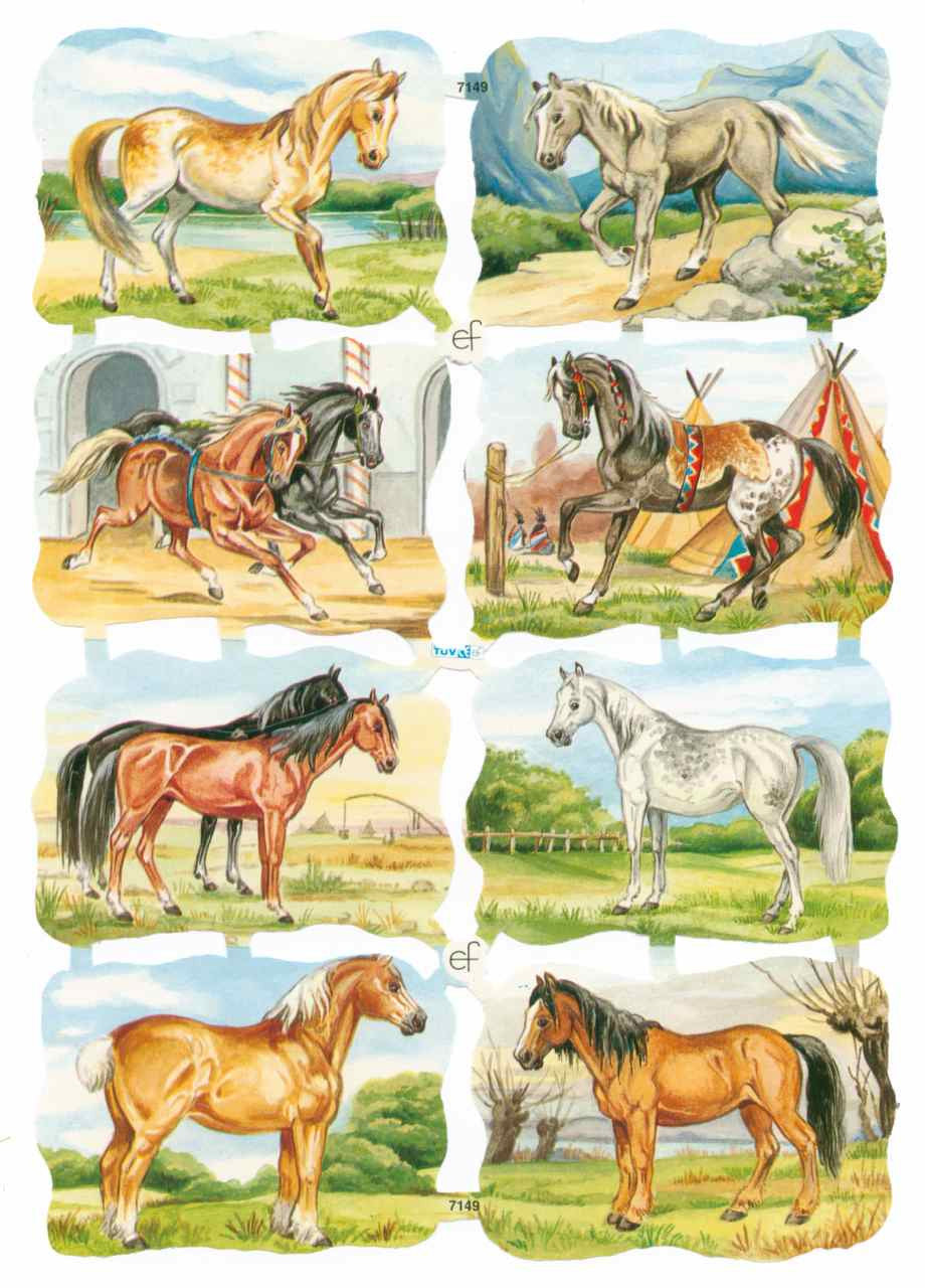 Scrapbook Pictures, Horses