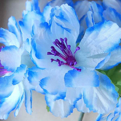 Blue Striated Flower